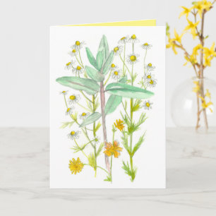 Carte Fleurs De Jardin Chamomile Milkweed Penser À Vous