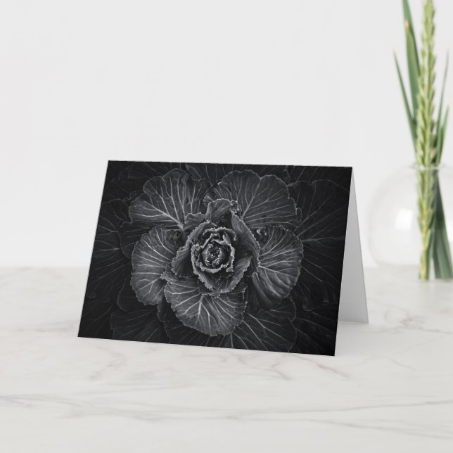 Carte Fleurs De jardin En Noir Et Blanc No 108 (Devant)
