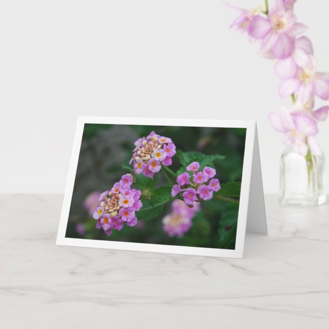 Carte Fleurs de Lantana violettes et jaunes (Orchidée)