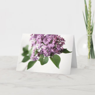 Carte Fleurs de Lilac Ventures de printemps Beauté L