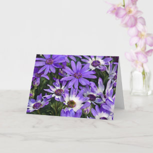 Carte Fleurs de marguerite violette Fleurs marguerites C