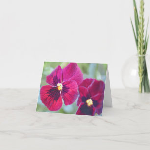 Carte Fleurs de Pansy Magenta du jardin de Gertie