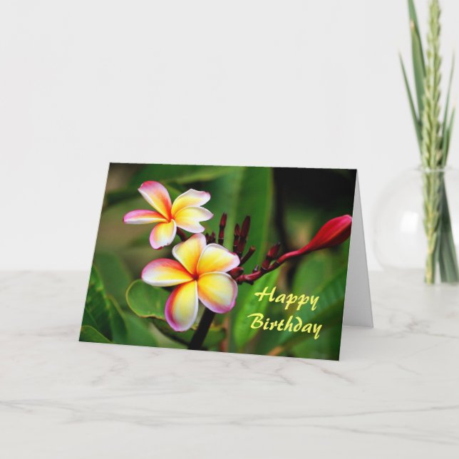 Carte Fleurs de Plumeria de Maui, anniversaire (Devant)