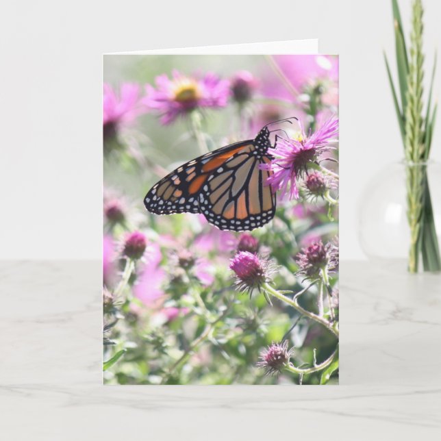 Carte Fleurs de prés papillons et violets (Devant)