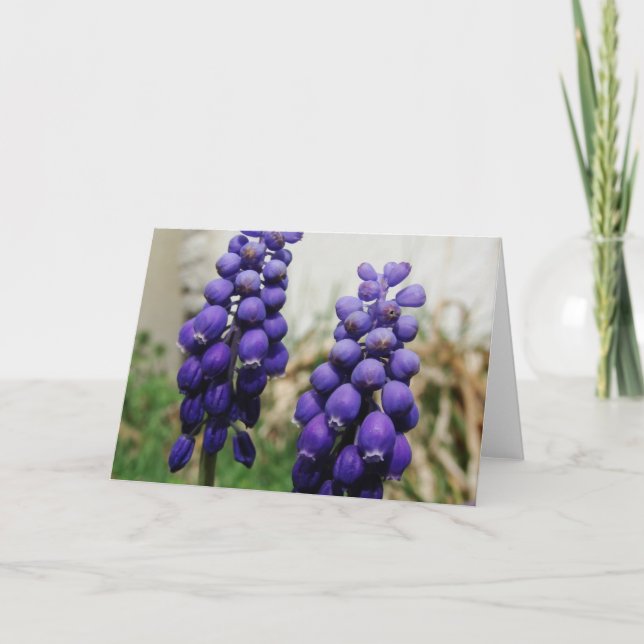 Carte Fleurs de printemps (Devant)