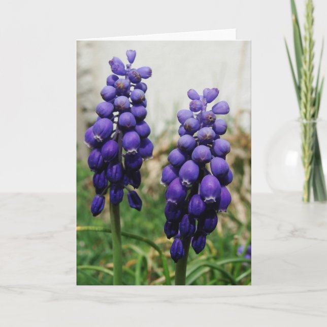 Carte Fleurs de printemps violettes (Devant)