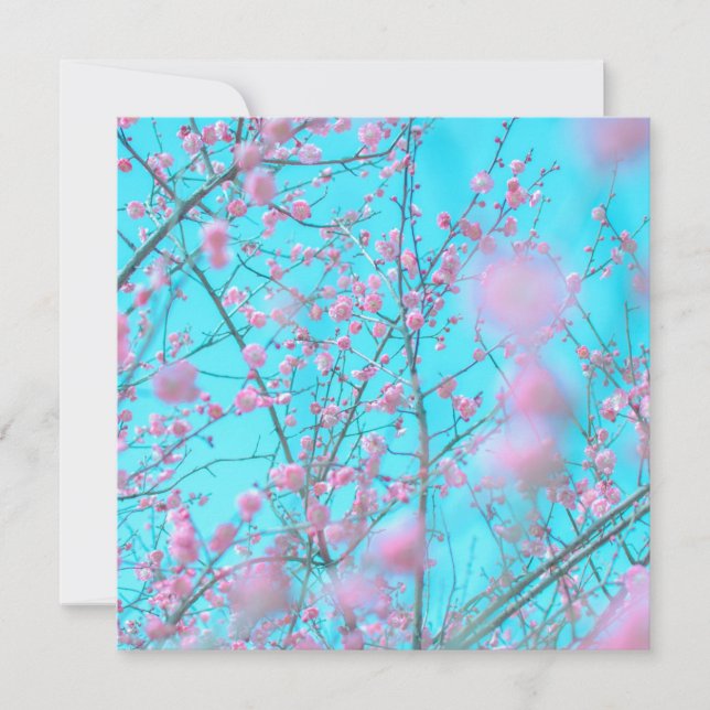 Carte Fleurs de prunes (Suzhou, Chine) (Devant)