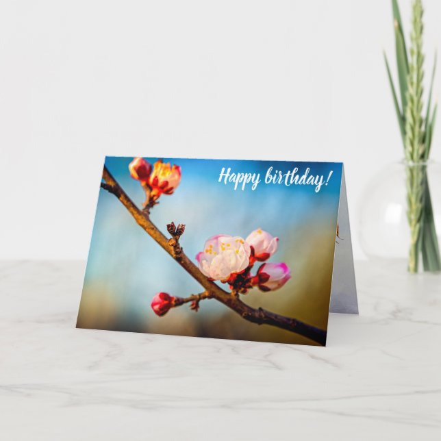 Carte Fleurs de Prunus mume et ciel bleu clair (Devant)