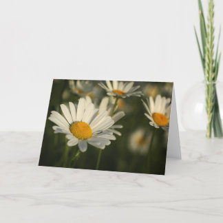 Carte Fleurs de ressort