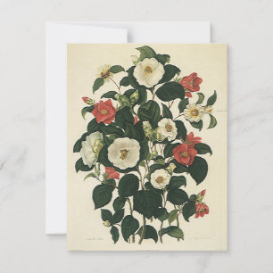 Carte Fleurs de roses de jardin florales vintage
