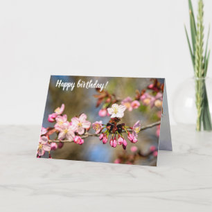 Carte Fleurs De Sakura Fraîches Au Soleil Et Bufs Violet