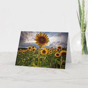 Carte Fleurs de soleil