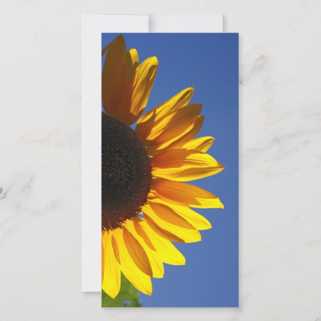Carte Fleurs de soleil (Devant)