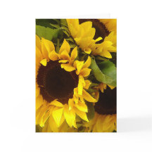 Fleurs de soleil
