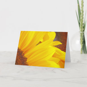 Carte Fleurs de soleil