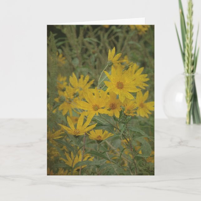 Carte Fleurs de soleil, Anniversaire (Devant)