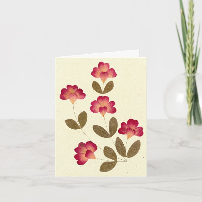 Carte Fleurs de tube rose pâle (Devant)
