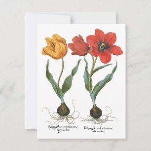 Carte Fleurs de tulipe printanière vintages par Basilius