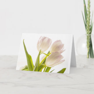 Carte Fleurs de Tulipes Blanches Toute Occasion