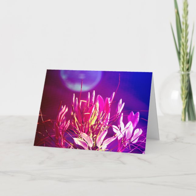 Carte Fleurs d'été (Devant)