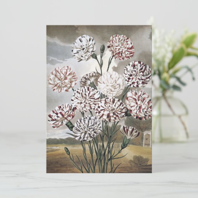 Carte Fleurs d'oeillets vintages avec ciel gris (Debout devant)