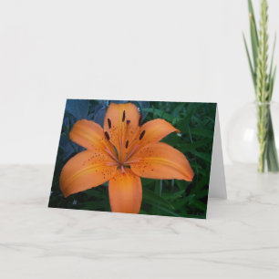 Carte Fleurs et Plantes