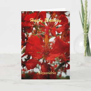 Carte Fleurs flamboyantes rouges Florales Anniversaire p