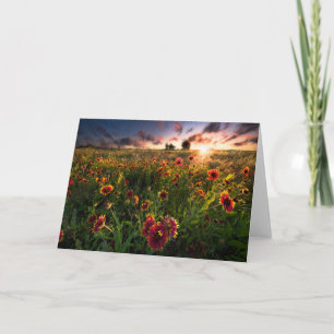 Carte Fleurs Fleur sauvage indien Texas
