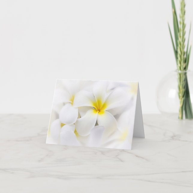 Carte Fleurs florales de Plumeria de Frangipani blanc de (Devant)