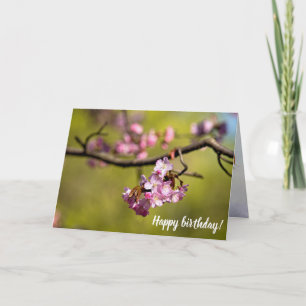 Carte Fleurs fraîches de Sakura contre l'Arrière - plan 