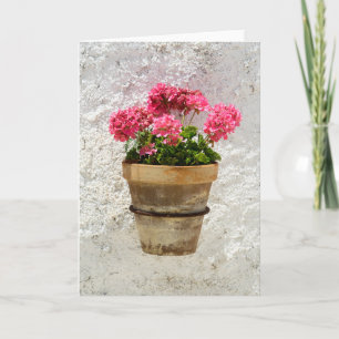 Carte Fleurs Géranium en fleur en pot
