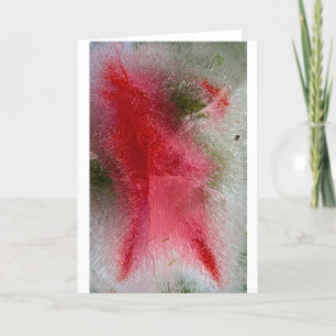Carte Fleurs glacées,
