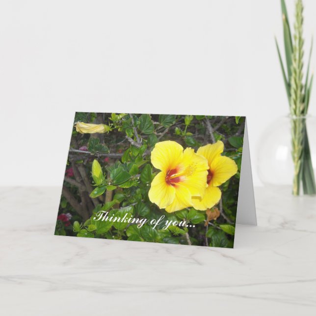 Carte Fleurs hawaïennes (Devant)