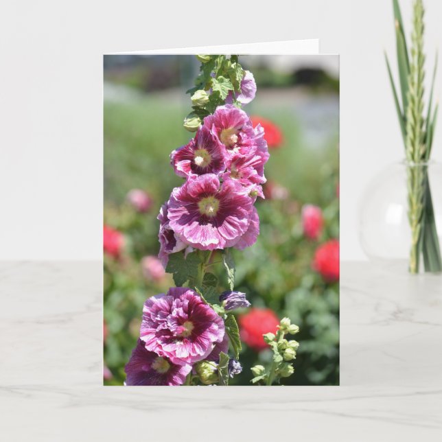 Carte Fleurs inspirées de rose trémière (Devant)