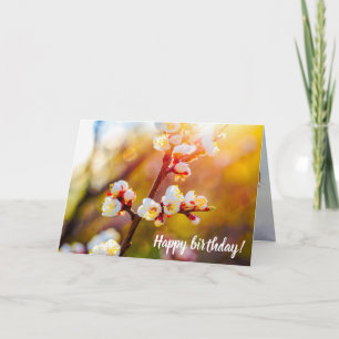 Carte Fleurs Japonaises D'Apricot Au Coucher De Soleil O