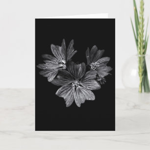 Carte Fleurs jardins En Noir Et Blanc No 11
