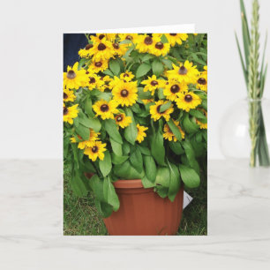Carte Fleurs jaunes