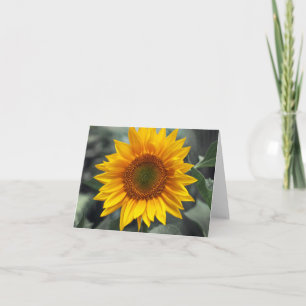 Carte Fleurs jaunes de tournesol florales - Amour, Bonjo