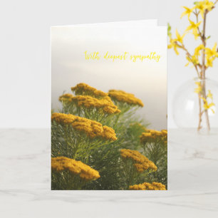 Carte Fleurs Jaunes Sauvages Afrique du Sud Météo Misty