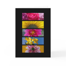 Carte - Fleurs Macro Roses et Jaunes