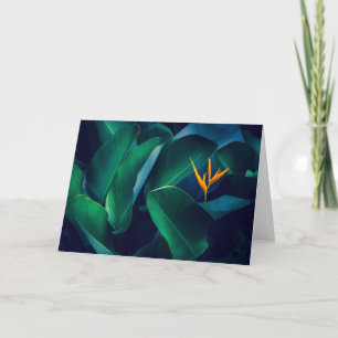 Carte Fleurs Oiseau du paradis
