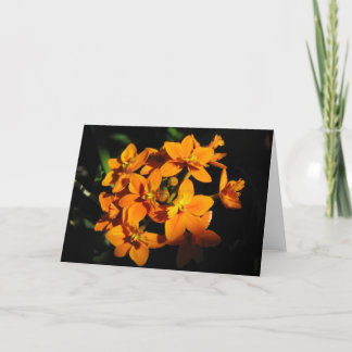 Carte Fleurs orange
