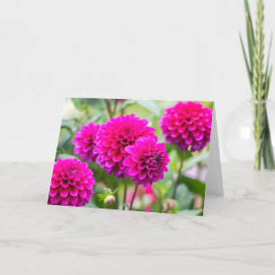 Carte Fleurs Pompom Rose Chaud