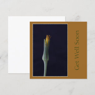 Carte Fleurs pour un prompt rétablissement Tons brun dor