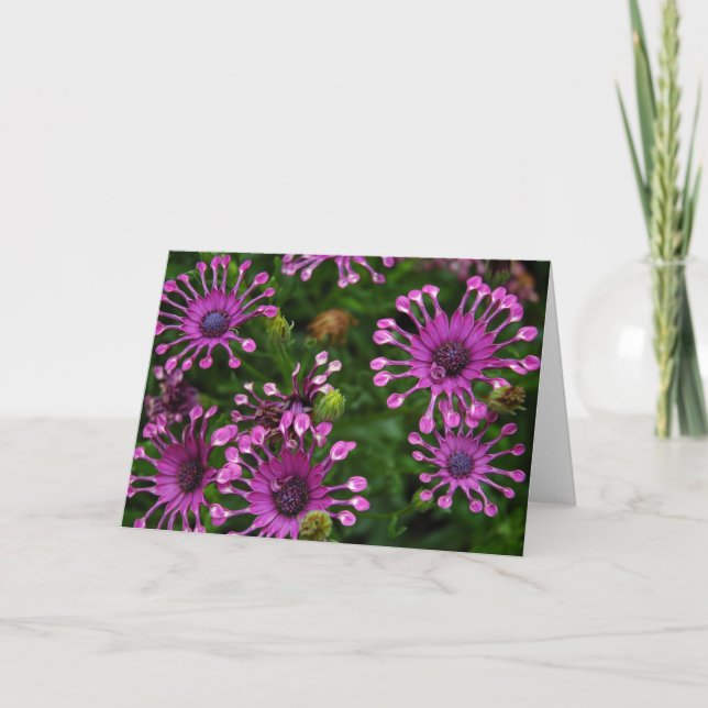 Carte Fleurs pourpres de feu d'artifice (Devant)