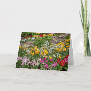 Carte Fleurs printanières colorées en pleine floraison