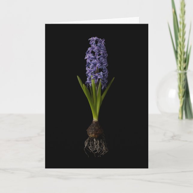 Carte Fleurs | Puce Hyacinth violette (Devant)