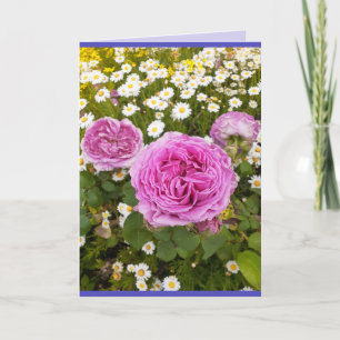 Carte Fleurs roses Floral Rose Roses Daisy Photo