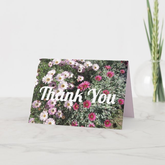 Carte Fleurs rouges roses de marguerite Merci floral (Devant)