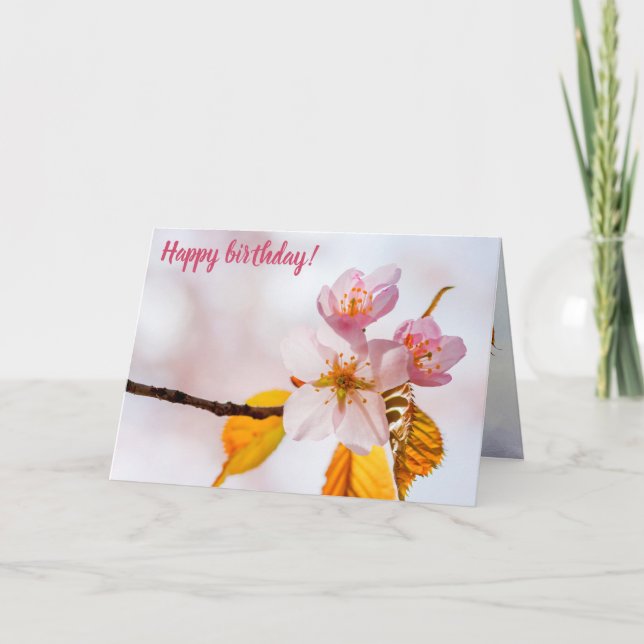 Carte Fleurs Sakura Et Arrière - plan Rose Doux Du Print (Devant)
